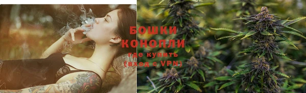 дмт Нея