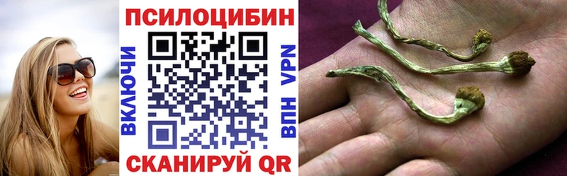 Псилоцибиновые грибы прущие грибы  купить   Надым 