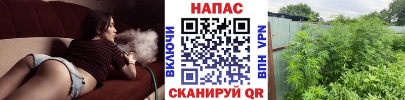 магазин  наркотиков  Надым  Марихуана тримм 